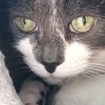 Lesley McGregor - @silverlesley2001 - Instagram