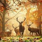 Lesley Mckee - @lesleymckee23 - Instagram