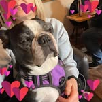 Lesley Ann McLlean - @lesley.mclean - Instagram