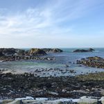 Lesley McLean - @lesleymclean75 - Instagram