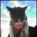 Lesley Mcleod - Facebook