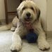 Lesley McLeod - Facebook