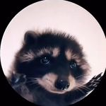 Lesley Morrison - @les.is.morr - Instagram