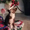 Lesley Morrison - @lesley.morrison0 - TikTok