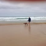 Lesley Morse - @lesleymorse243 - Instagram
