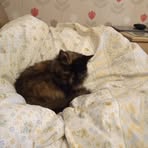 Lesley Nelson - Facebook