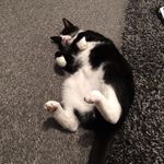 Lesley Norton - @lesleynorton3 - Instagram