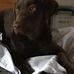 Lesley Norton - Facebook