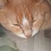 Lesley Olson - Facebook