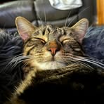 Lesley Olson - Facebook