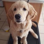 Lesley Olson - @hlesleyolson - Instagram