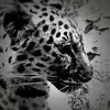 Lesley Park - @lesley.park5 - TikTok