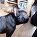 Lesley Parrish - Facebook