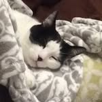 Lesley Peacey - @lesleypeacey - Instagram