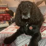 Lesley Powell - Facebook