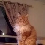 Lesley Powell - @lesley.powell.739 - Instagram
