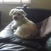 Lesley Reed - Facebook