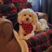 Lesley Orman-Resler - Facebook