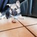 Lesley Reilander - Facebook