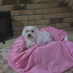 Lesley Richards - Facebook