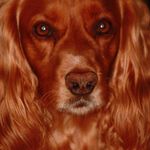 Lesley Richards - @richards4961 - Instagram