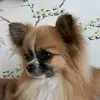 Lesley Richards - @lesley.richards7 - TikTok