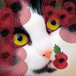 Lesley Richardson - @lesley.richardson1 - Instagram