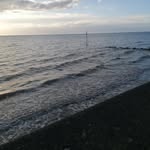 Lesley Richardson - @richardsonles11 - Instagram