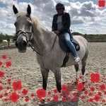 Lesley Richardson Ballard - @lesleyrichardsonballard - Instagram