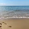 Lesley Rodgers - @lesley.rodgers0 - TikTok