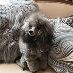 Lesley rogers - @lesleyrogers3075 - Instagram