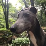 Lesley Rogers - @lesleyrogers_ - Instagram