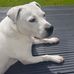 Lesley Russell - Facebook