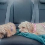 Lesley Bubner-nee Ryder - @bubnerneeryder - Instagram