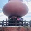 Lesley Salas - @lesley.salas5 - TikTok