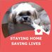 Lesley Shipley - Facebook