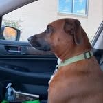 Lesley Shipley - @leshipley533 - Instagram