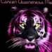 Lesley Shipley - Facebook