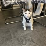 Lesley sims - @lesleysims56 - Instagram
