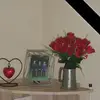 lesleystagge - @lesleystagge - TikTok