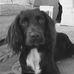 Lesley Stapleton - Facebook