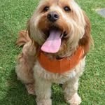 Lesley Stephens - @lesleystephens3836 - Instagram