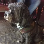 Lesley Stephens - @lesleys1955 - Instagram