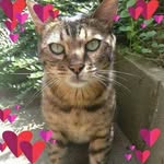 Lesley Stone - @lesleystone62 - Instagram