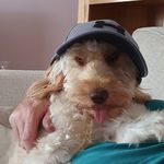 Lesley Stone - @yelsel2906 - Instagram