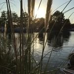 Lesley Thurman - @lesley_thurman - Instagram