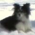 Lesley Toth - Facebook