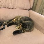 Lesley Upton - @lesley.upton.967 - Instagram