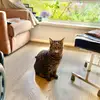Lesley Upton - @lezupton51 - TikTok