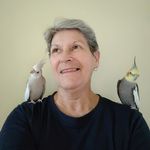 Lesley Vickers - @lesleykv - Instagram